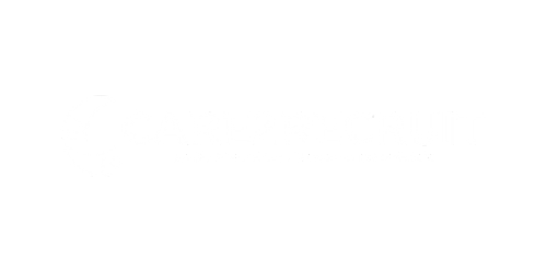 Care2Recruit Logo